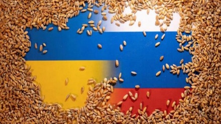 Turchia, l'Occidente non ha più bisogno di grano dall'Ucraina