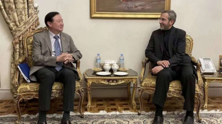 中国大使与伊朗外交部副部长会晤