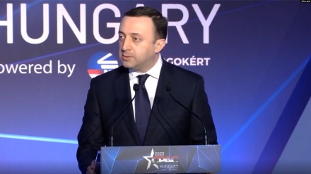 «Վրաստանը պետք է դասեր քաղի»․ Թբիլիսին քննադատում է ՆԱՏՕ-ի քաղաքականությունը