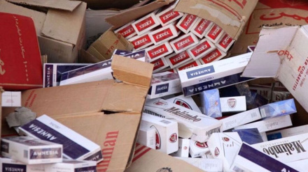 Iran busts large ring involved in smuggling tobacco products