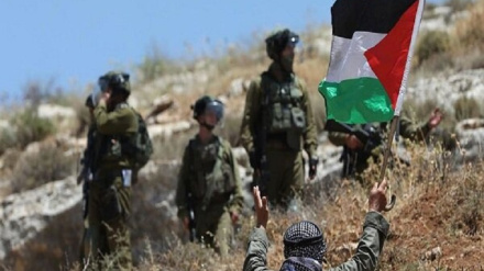 上个月 24 名巴勒斯坦人在犹太复国主义军队袭击下殉难