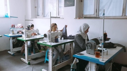 کارآفرینی هفت خواهر هراتی برای زنان و دختران بازمانده از کار و تحصیل