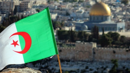 אלג'יריה תרמה 30 מיליון דולר לשיקום ג'נין לאחר התוקפנות הישראלית
