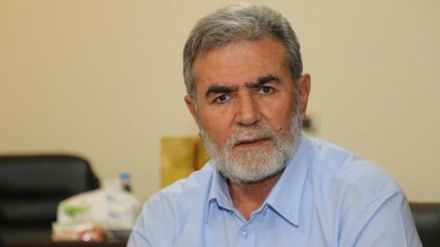 Zijad Al-Nakhale: Nëse nuk lirohen luftëtarët palestinezë, ne nuk do të marrim pjesë në takimin e Kajro