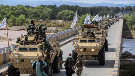 امریکایي وسلو ته د پاکستاني طالبانو لاسرسی