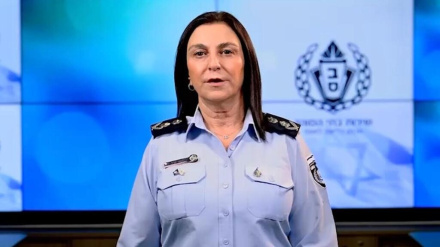 נציבת שב