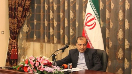 Këshilltari i lartë i ministrit të jashtëm të Iranit: Komuniteti ndërkombëtar duhet t'i kushtojë vëmendje dimensioneve humanitare të krizës jemenase