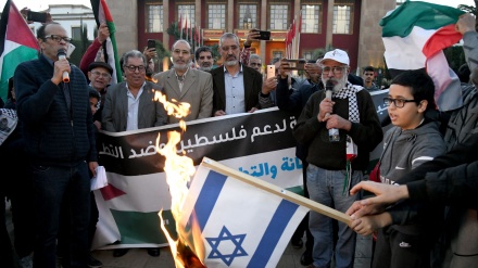 Reagimi i vendeve arabe dhe islamike ndaj krimeve të regjimit sionist në Jenin