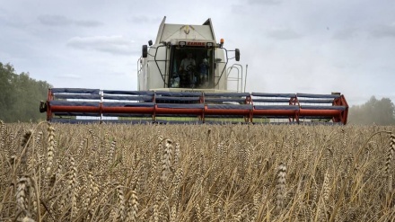 گفتگوی وزرای خارجه پاکستان و روسیه درباره توافقنامه  صادرات غلات 