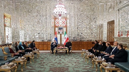 Jumpa Pers Ketua Parlemen Iran dan Serbia (2)