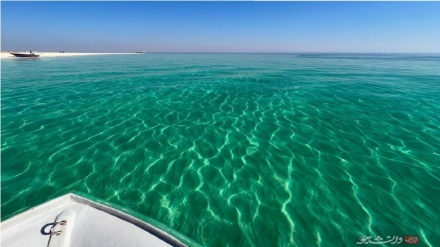 (FOTO DEL GIORNO) Navigando nelle acque del Golfo Persico