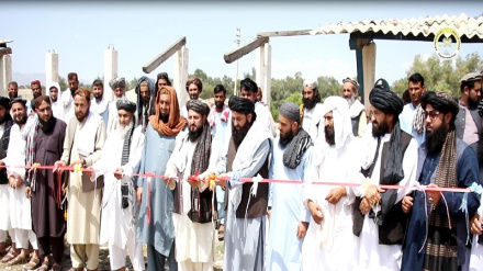 ننګرهار کې د مالدارۍ په برخه کې پنځوس میلیونه افغانۍ پانګونه کېږي، زموږ د همکار راپور واورئ