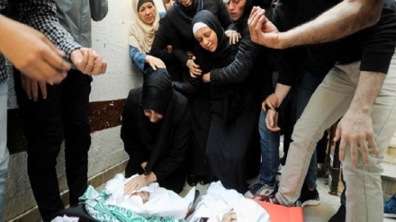 شهادت 206 فلسطینی از ابتدای سال جاری میلادی