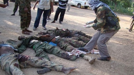 Magaidi 25 wa kundi la al-Shabaab waangamizwa Somalia 