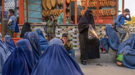 دخوړونړیوال سازمان په افغانستان کې د غنمو د کمښت په اړه خبرداری ورکړ 