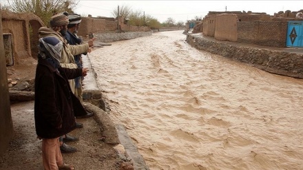 کمک سازمان ملل‌ به حادثه دیدگان سیل اخیر در افغانستان 