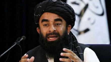 مجاهد: طالبان، خبرنگاران را به‌خاطر فعالیت‌های رسانه‌‌ای بازداشت نمی‌کند