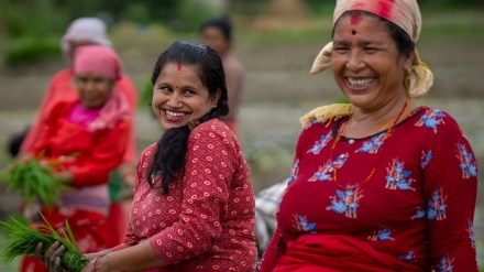 Festivali i mbjelljes së orizit në Nepal