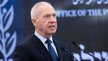 גלנט פועל לדחיית ההפיכה המשפטית