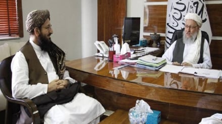 د ایران او افغانستان اړیکې پر متقابل درناوي ولاړې دي