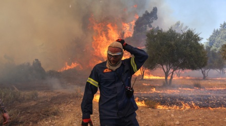  Mediterranean gripped by wildfires, kills dozens 