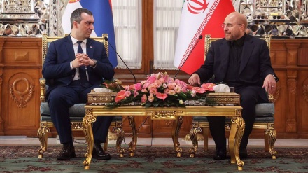 Iran, Serbia share common positions at international level: Parl. speaker