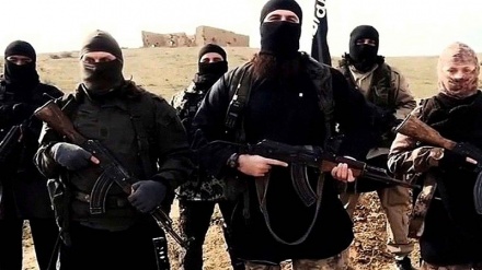 Viongozi 6 hatari wa Daesh watiwa nguvuni Iraq