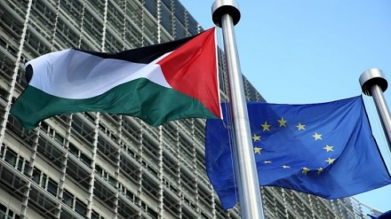 欧州議会が、パレスチナの独立国家承認を支持