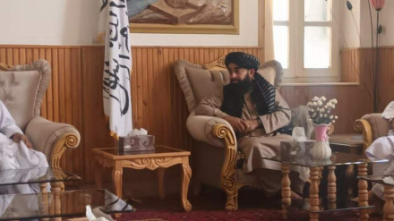 سخنگوی طالبان به ولایت هرات سفر کرد
