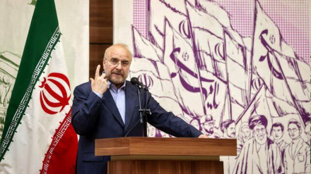 Иранские женщины стали более способными после победы Исламской революции