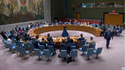 В СБ ООН осудили теракт в храме Шах-Чераг