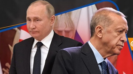 Анализ текущих отношений между Россией и Турцией: Пора расходиться?