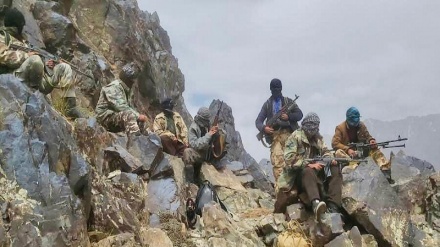 جبهه آزادی: 10 نیروی طالبان را در قندهار و لغمان از پای در آوردیم