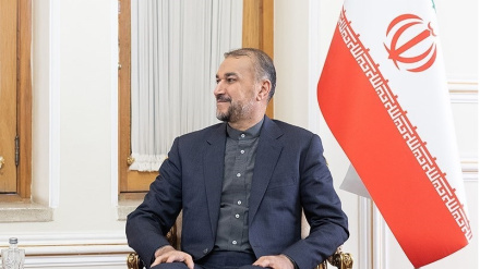 د حماس جګ پوړي غړي له امیر عبداللهیان سره کتنه مثبته وبلله