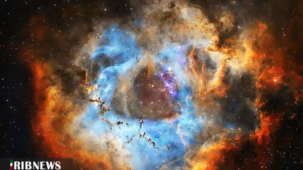 Le foto più belle della settimana- 1