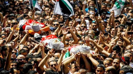 ヨルダン川西岸・聖地で、イスラエル軍の銃撃による今月のパレスチナ人殉教者が既に１３人に