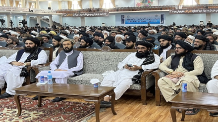 Афганские улемы делают акцент на укреплении отношений с соседями