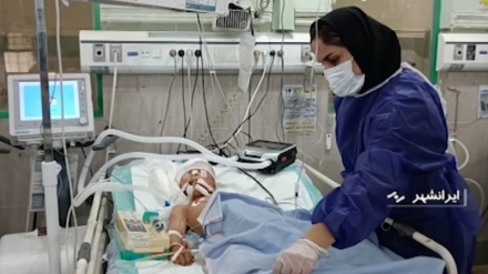 اعضای بدن کودک افغانستانی به سه نفر حیات دوباره بخشید