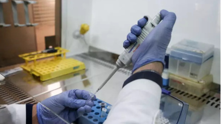 Iran: 80 maladies incurables traitées par des cellules souches