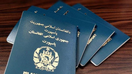 په یوه میاشت کې د سل زره پاسپورټونو ویش