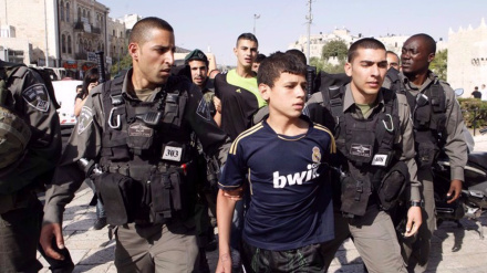 Hebrew University professor: Calling Israel apartheid is 'describing reality'