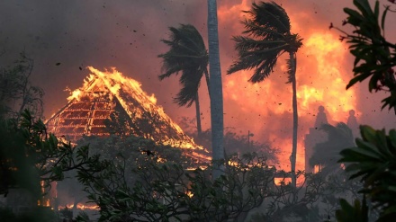 米ハワイ州マウイ島などで大規模な森林火災、少なくとも36人死亡
