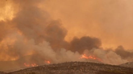 Grecia, il ritrovamento di 18 corpi durante gli incendi boschivi