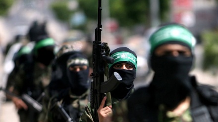39 Palestina Terluka dalam Konflik Senjata dengan Tentara Zionis