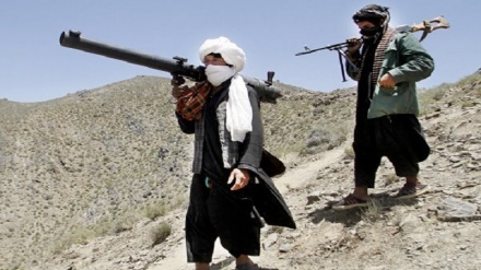 هلاکت یک تروریست در افغانستان 