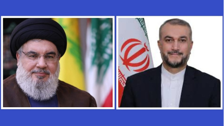 Амир-Абдуллахиан: Мы предоставим всю необходимую помощь сопротивлению до уничтожения сионизма