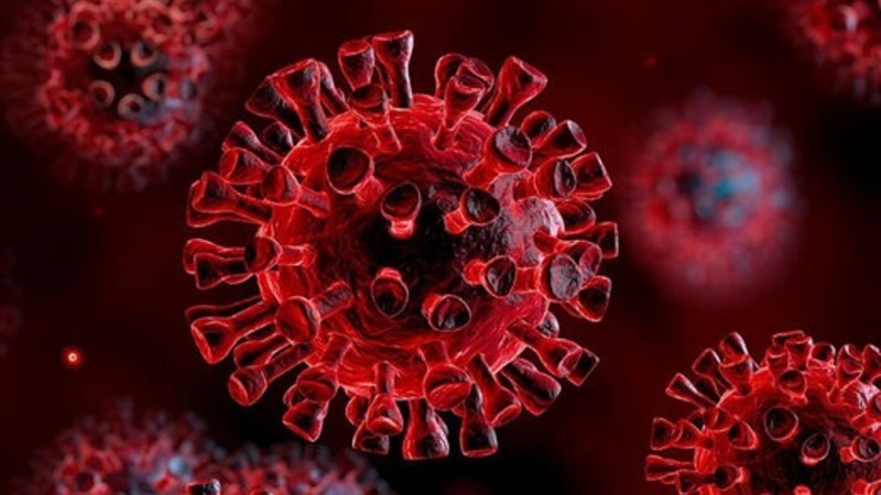 Pirola ed Eris; Nuova variante di Coronavirus