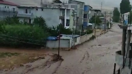 Van'da sel: 13 evi ve meyve bahçelerini su bastı