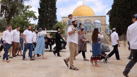 Nuova incursione dei coloni sionisti nella moschea di al-Aqsa