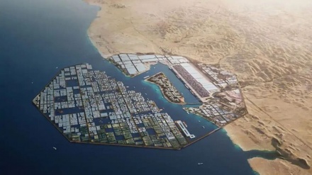 A. Saudita costruirà una fattoria grande quanto il Belgio